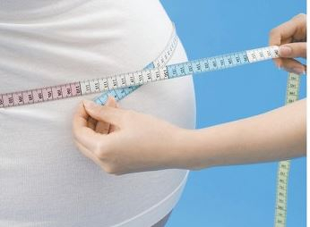 Syllabus of Seminars: Module 1 - Essentials of Obesity and Eating Disorders